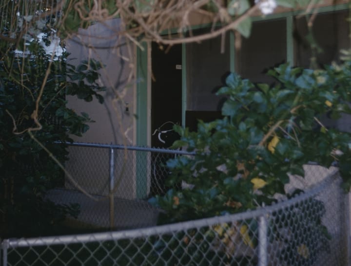 Photo with high flash showing a chain link fence and a small tree in the foreground, and a porch in the background with a darkened doorway. https://archive.org/details/GadoImages68635