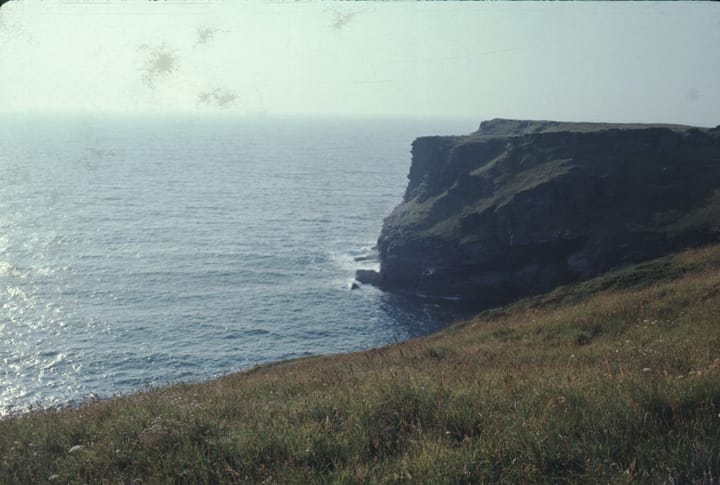a rocky headland jutting into the sea, meadow in foreground