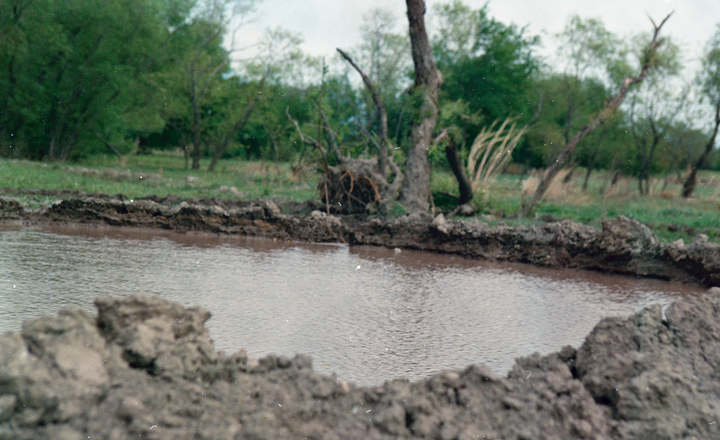 photo of a pond with ragged mud edges, and woods in background